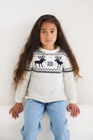 Christmas Reindeer Sweater Kids