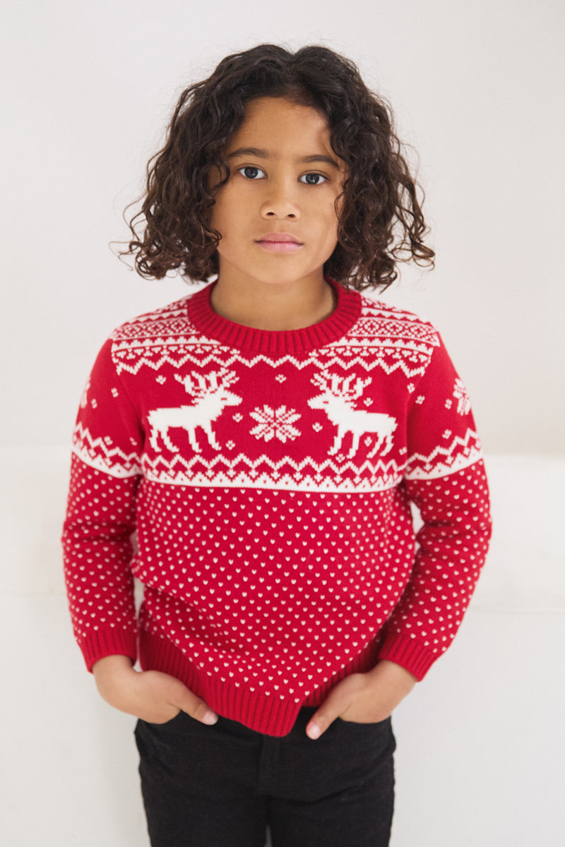 Christmas Reindeer Sweater Kids