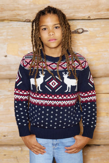 Kids Premium Reindeer Crew Neck Cotton Jumper