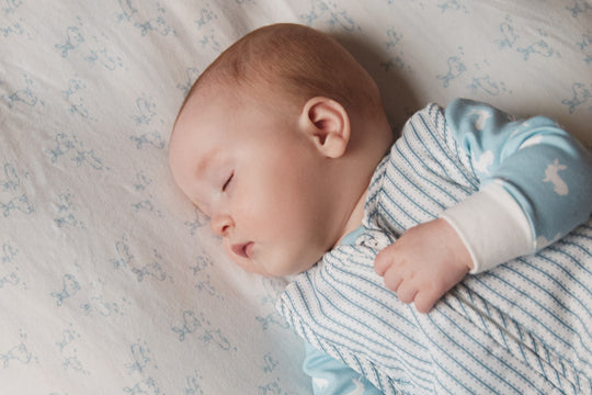 2pk Fitted Jersey Cot Sheet, blue woodland and Sky blue hare print