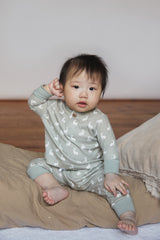Grey/Fawn